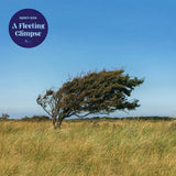 Bjørn Riis - A Fleeting Glimpse - CD