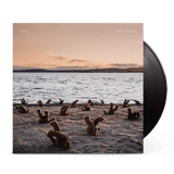 Airbag - A Day at the Beach - LP