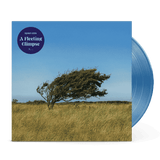 Bjørn Riis - A Fleeting Glimpse - Ltd LP (Transparent Blue)