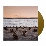 Airbag - A Day at the Beach - Limited LP (Gold vinyl)