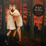 Prog Rockers White Willow - Terminal Twilight CD cover
