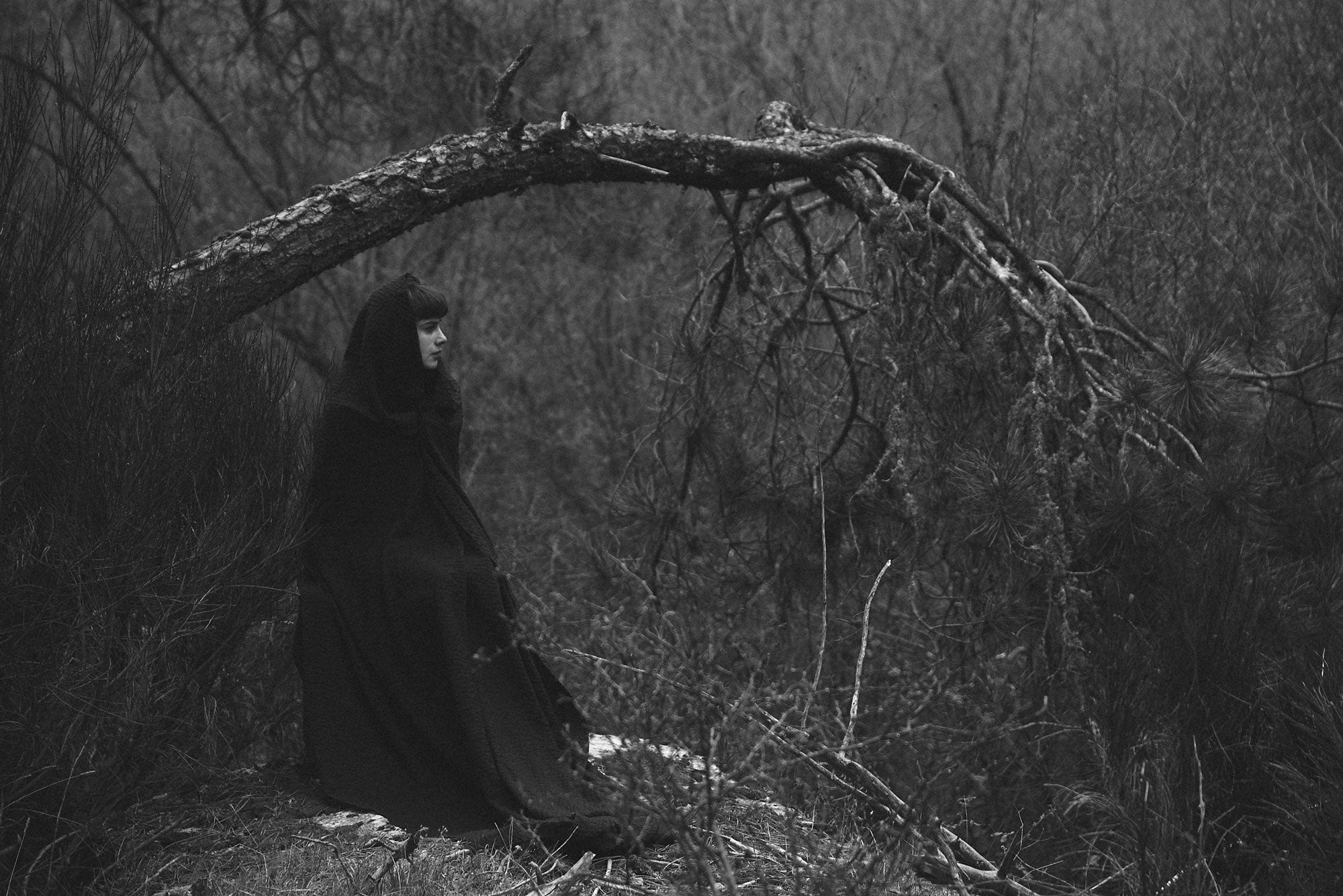 Neoclassical artist Antinoë in a dark cloak sitting under a fallen tree in a forest
