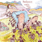 Needlepoint - Walking Up That Valley - LP