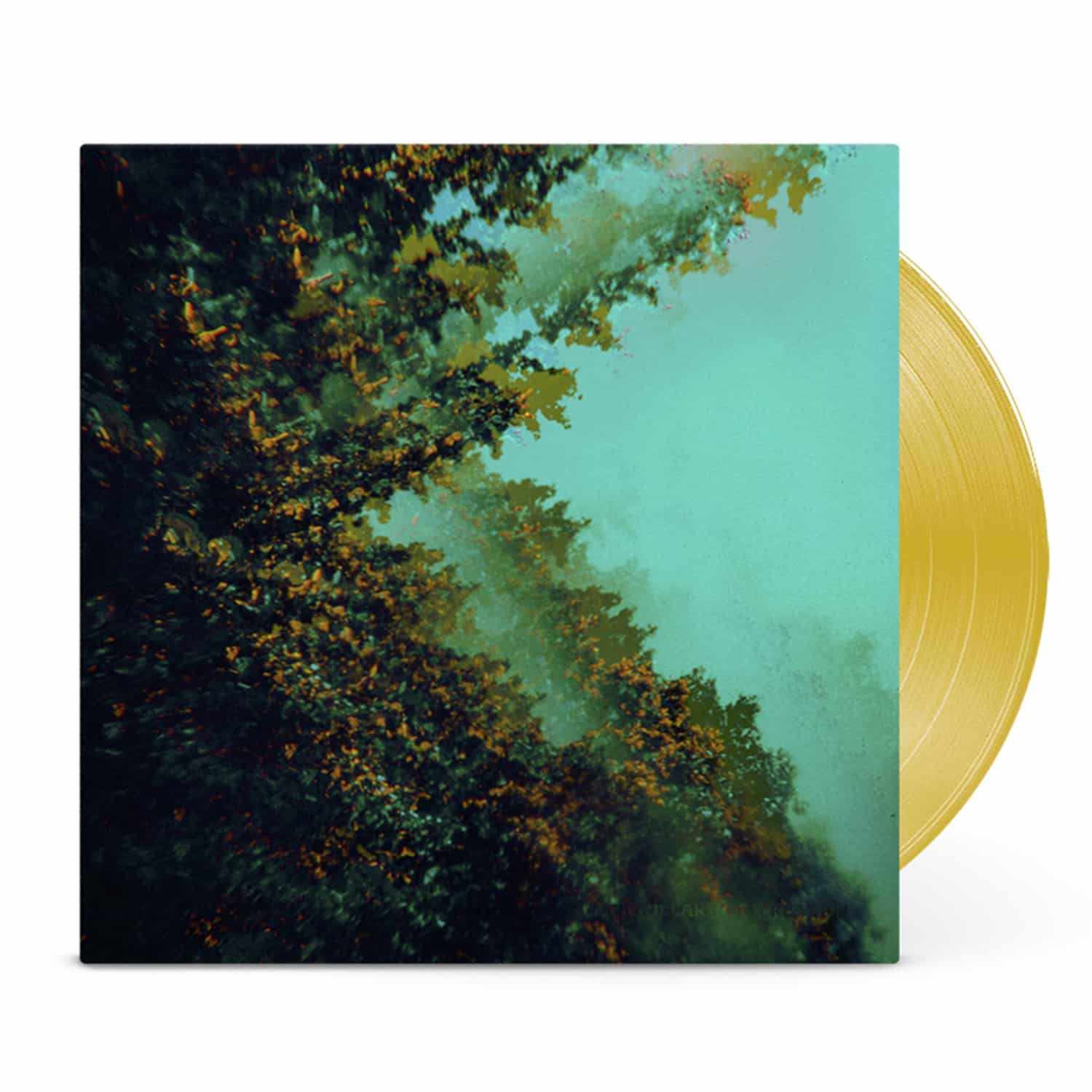 Polymoon vinyl cover