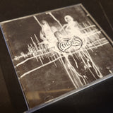 Hades Almighty - The Pulse of Decay - CD